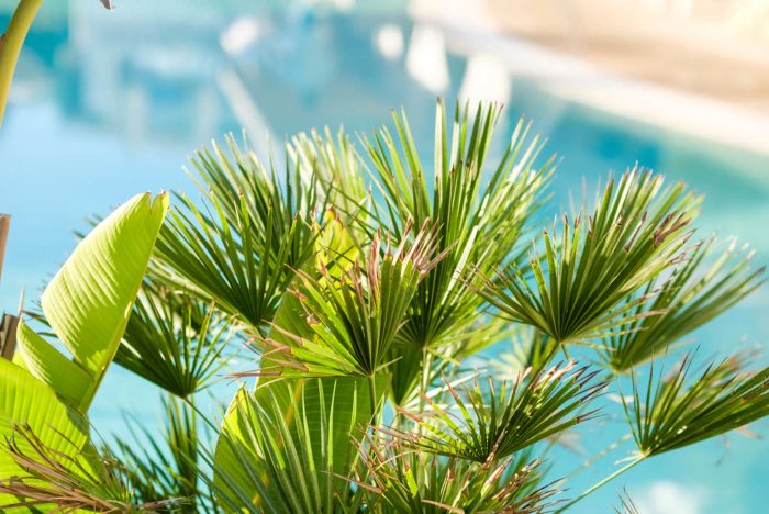 Doppelzimmer Gartenblick - Hotel Cala D'or